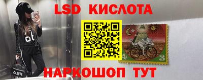 PSILOCYBIN Донской