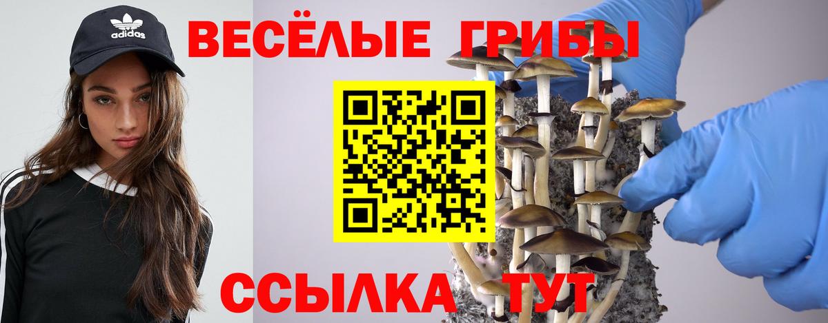Галлюциногенные грибы Cubensis Губаха