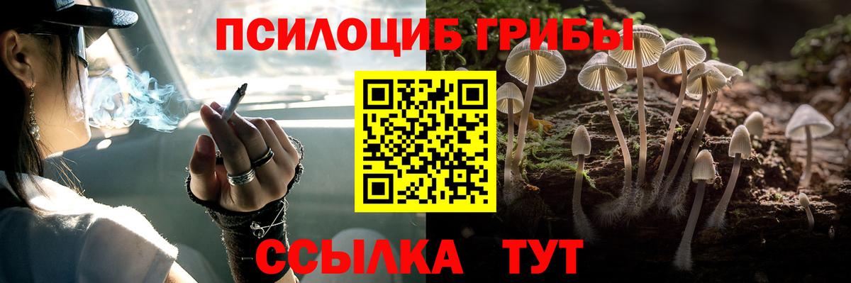 Губаха  Псилоцибиновые грибы мицелий  что такое   Вход с VPN 